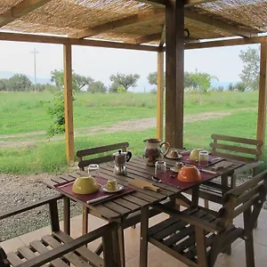 https://holiday-home-stella-di-sicilia.sicilyhotelsitaly.net